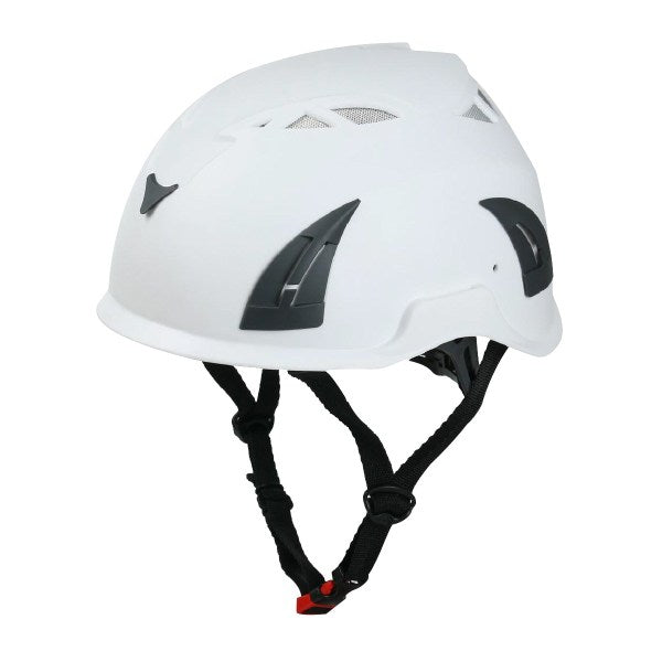 Raptor  Safety Helmet